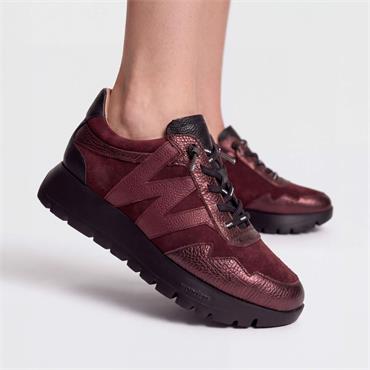 Wonders Odisei Two Tone Bungee Trainer - Burgundy